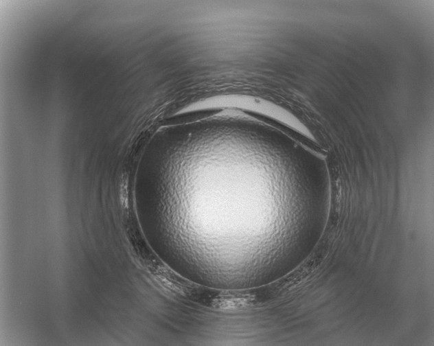 X0000058140368200510072037
