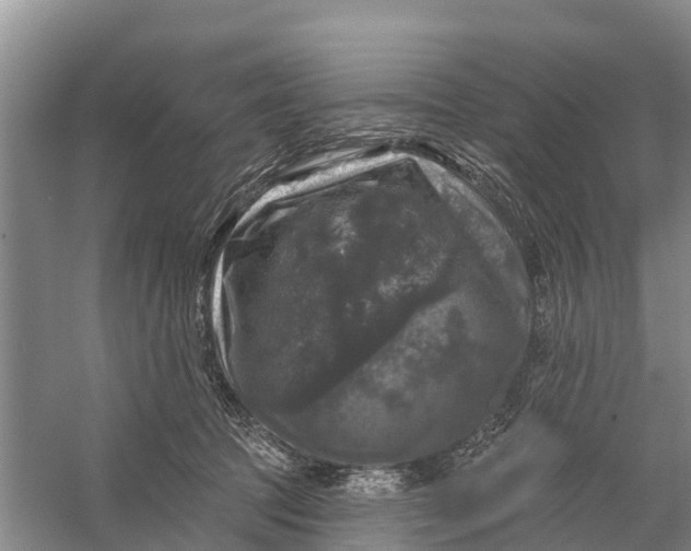 X0000058140369200510072037