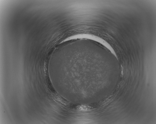 X0000058140372200510072037