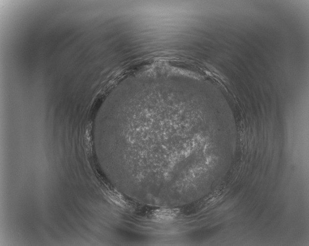 X0000058140373200510072037