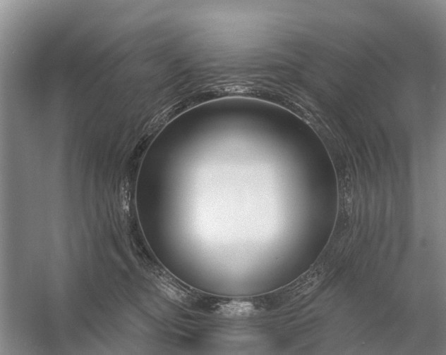 X0000058140374200510072037
