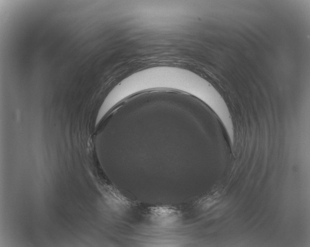 X0000058140380200510072038