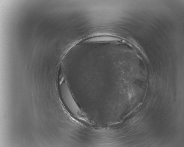 X0000058140385200510072037