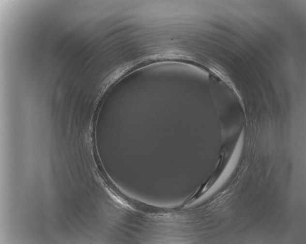 X0000058140389200510072037