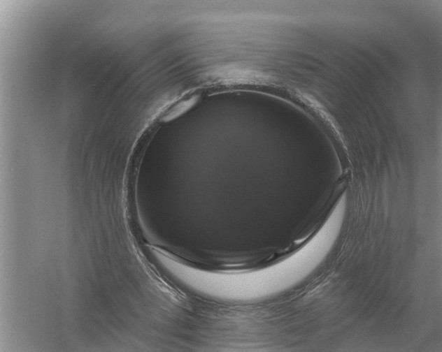 X0000058140391200510072037