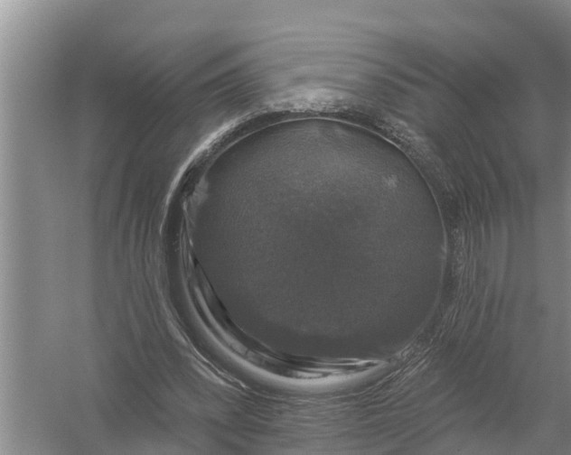 X0000058140392200510072037