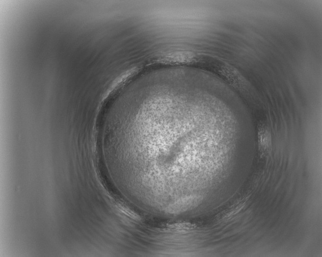 X0000058140396200510072037