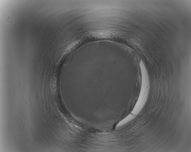 X0000058140400200510072037