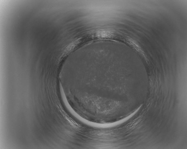 X0000058140401200510072037