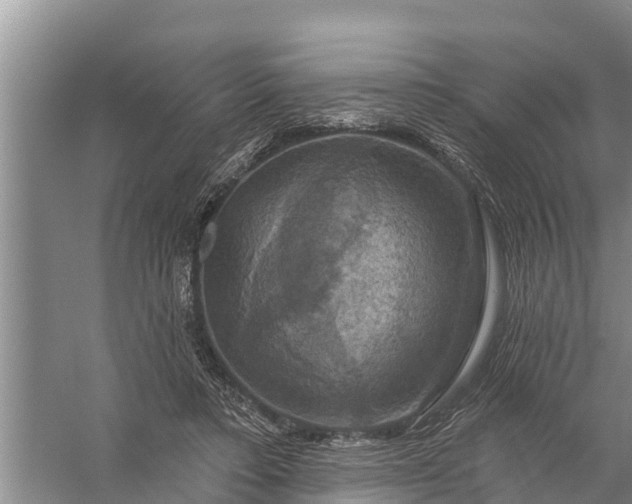 X0000058140403200510072037