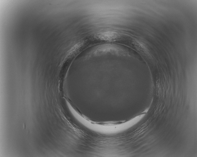 X0000058140404200510072036