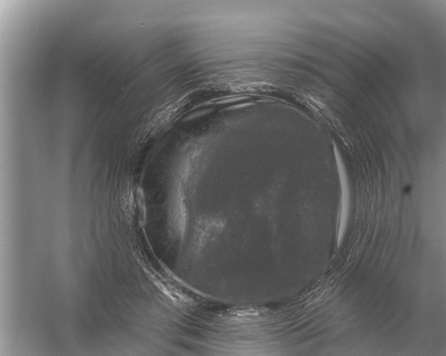 X0000058140405200510072036