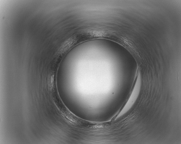 X0000058140406200510072036