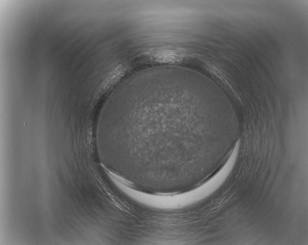 X0000058140407200510072036