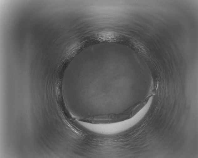 X0000058140408200510072036