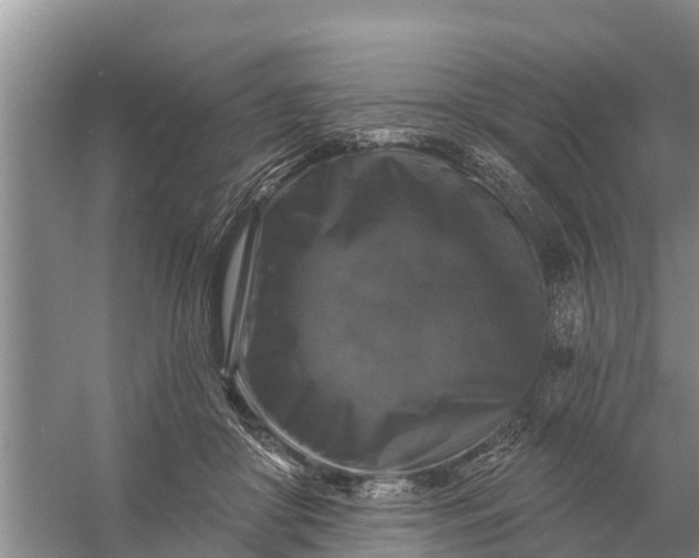 X0000058140410200510072036