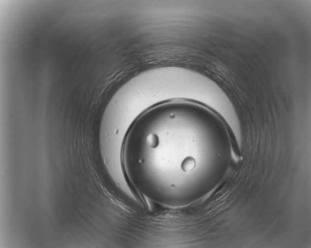 X0000058140412200510072036