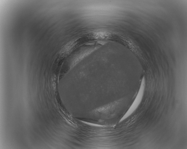 X0000058140413200510072036