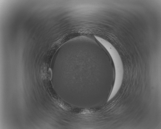 X0000058140416200510072036