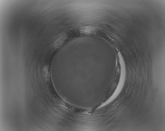 X0000058140420200510072036