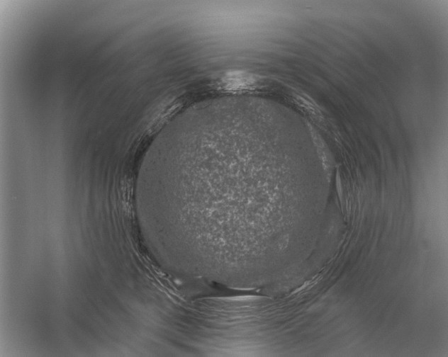 X0000058140421200510072036