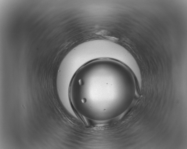 X0000058140423200510072036