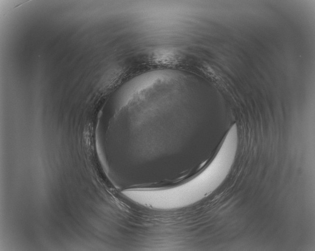 X0000058140424200510072036