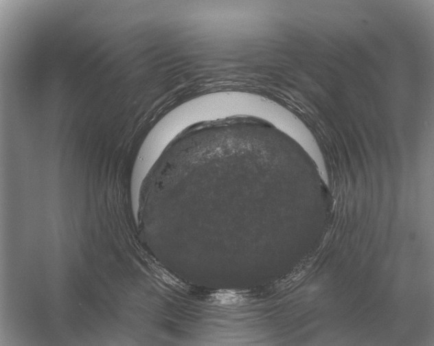 X0000058140425200510072036