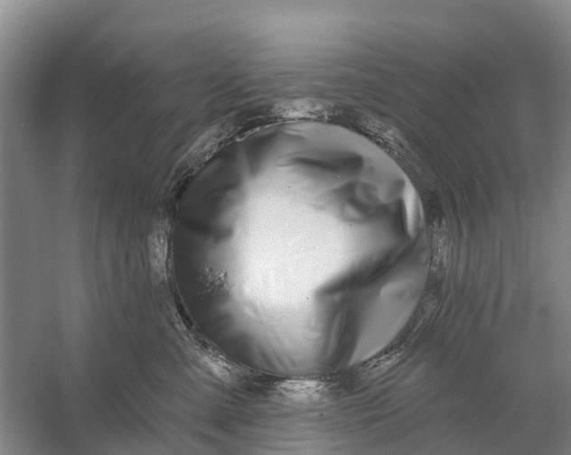 X0000058140427200510072036