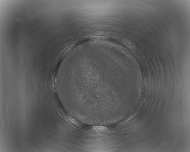 X0000058140429200510072036