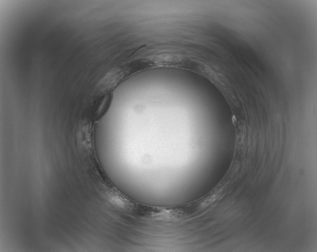 X0000058140430200510072036