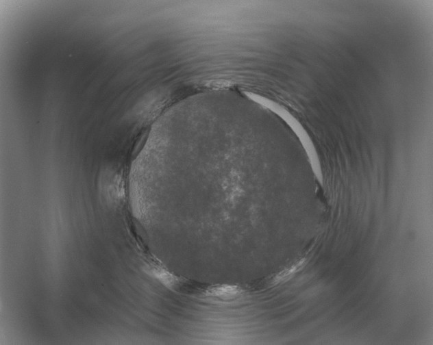 X0000058140431200510072036