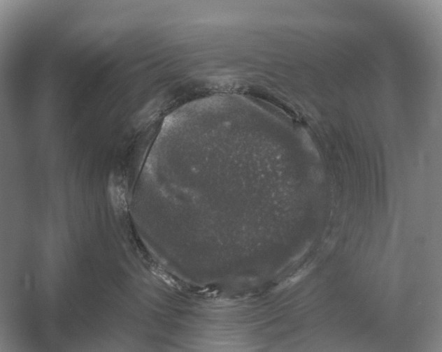 X0000058140432200510072036