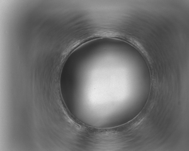 X0000058140433200510072035