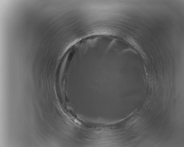 X0000058140434200510072035