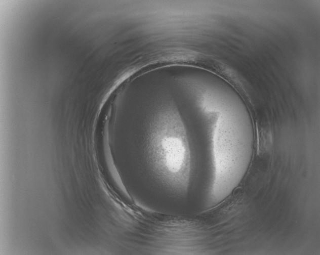 X0000058140435200510072035