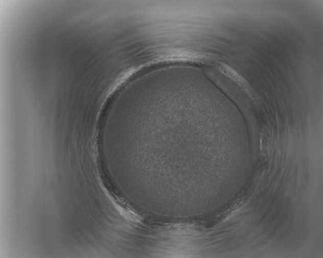 X0000058140436200510072035