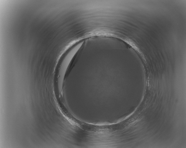 X0000058140438200510072035