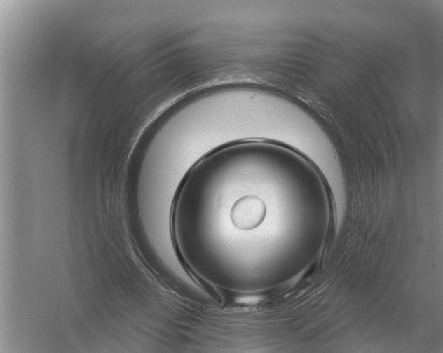 X0000058140440200510072035