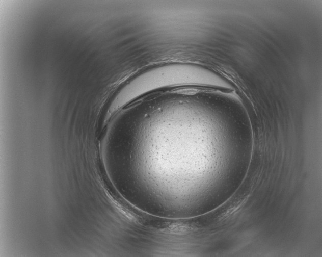 X0000058140441200510072035