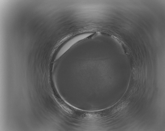 X0000058140442200510072035