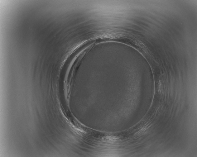 X0000058140444200510072035