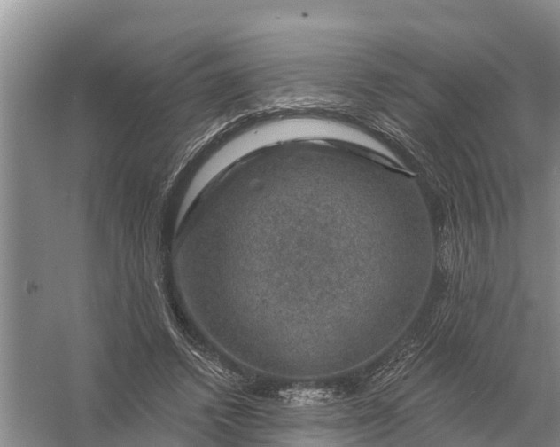 X0000058140448200510072035