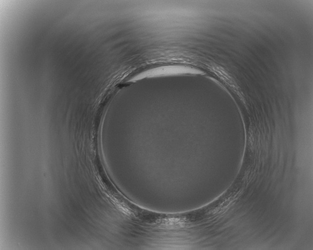 X0000058140449200510072035