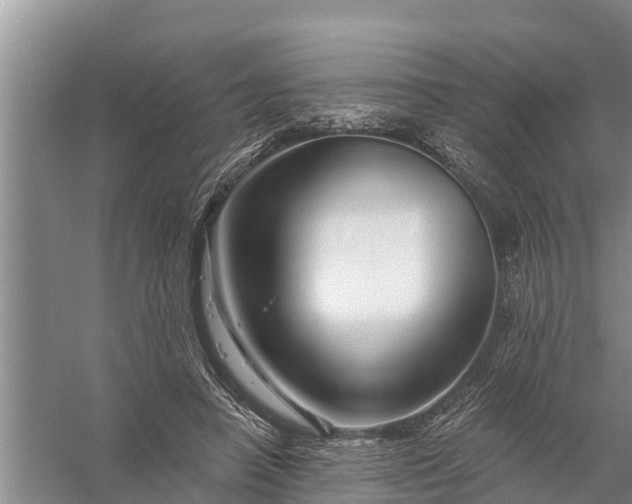 X0000058140450200510072035