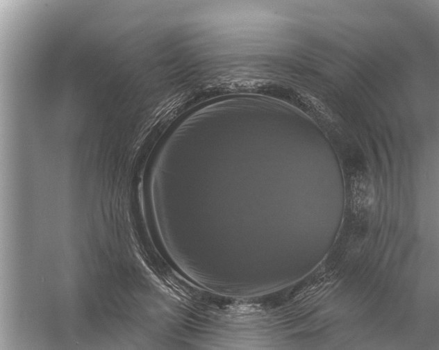 X0000058140451200510072036