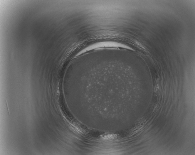 X0000058140452200510072036