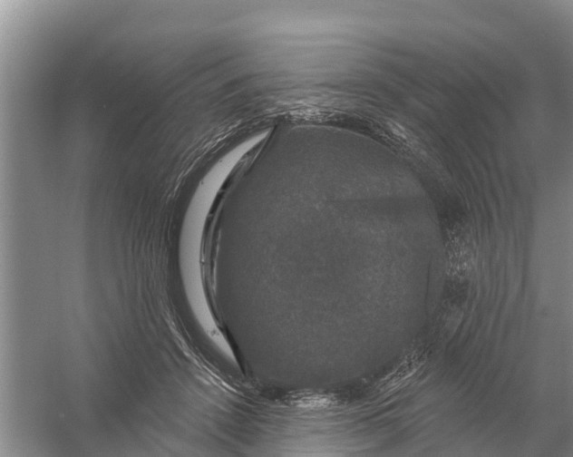 X0000058140456200510072036