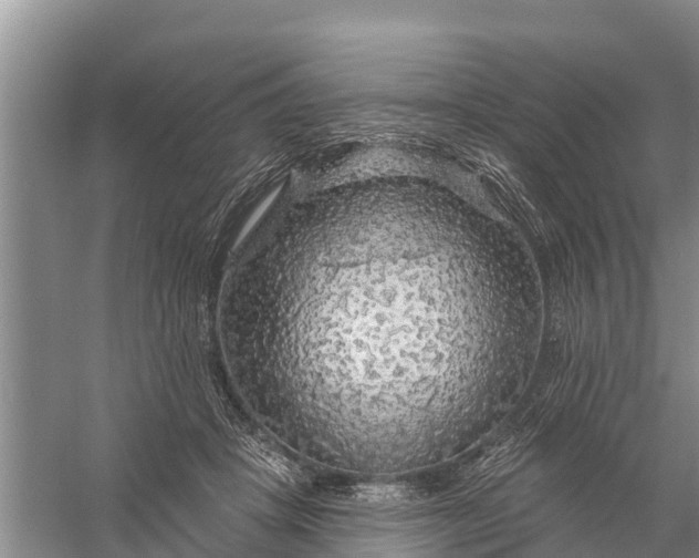 X0000058140457200510072036