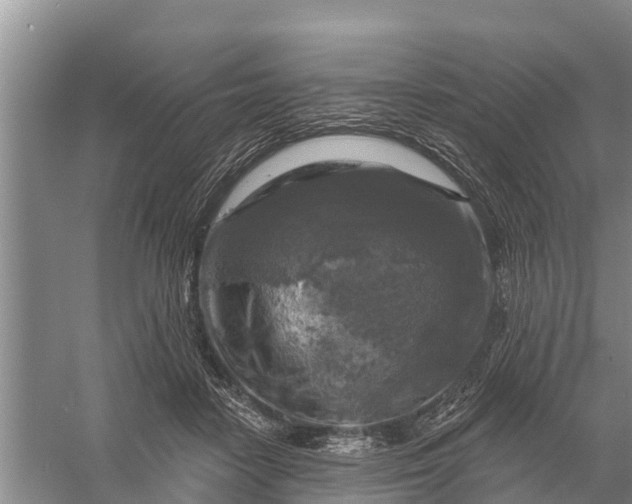 X0000058140458200510072036